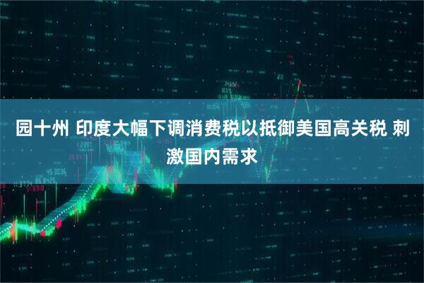 园十州 印度大幅下调消费税以抵御美国高关税 刺激国内需求