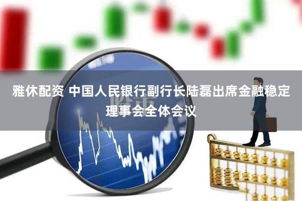 雅休配资 中国人民银行副行长陆磊出席金融稳定理事会全体会议