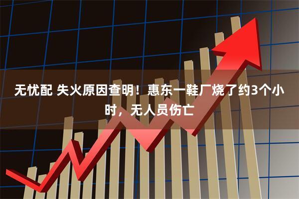 无忧配 失火原因查明！惠东一鞋厂烧了约3个小时，无人员伤亡