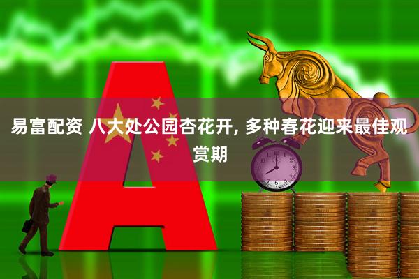易富配资 八大处公园杏花开, 多种春花迎来最佳观赏期